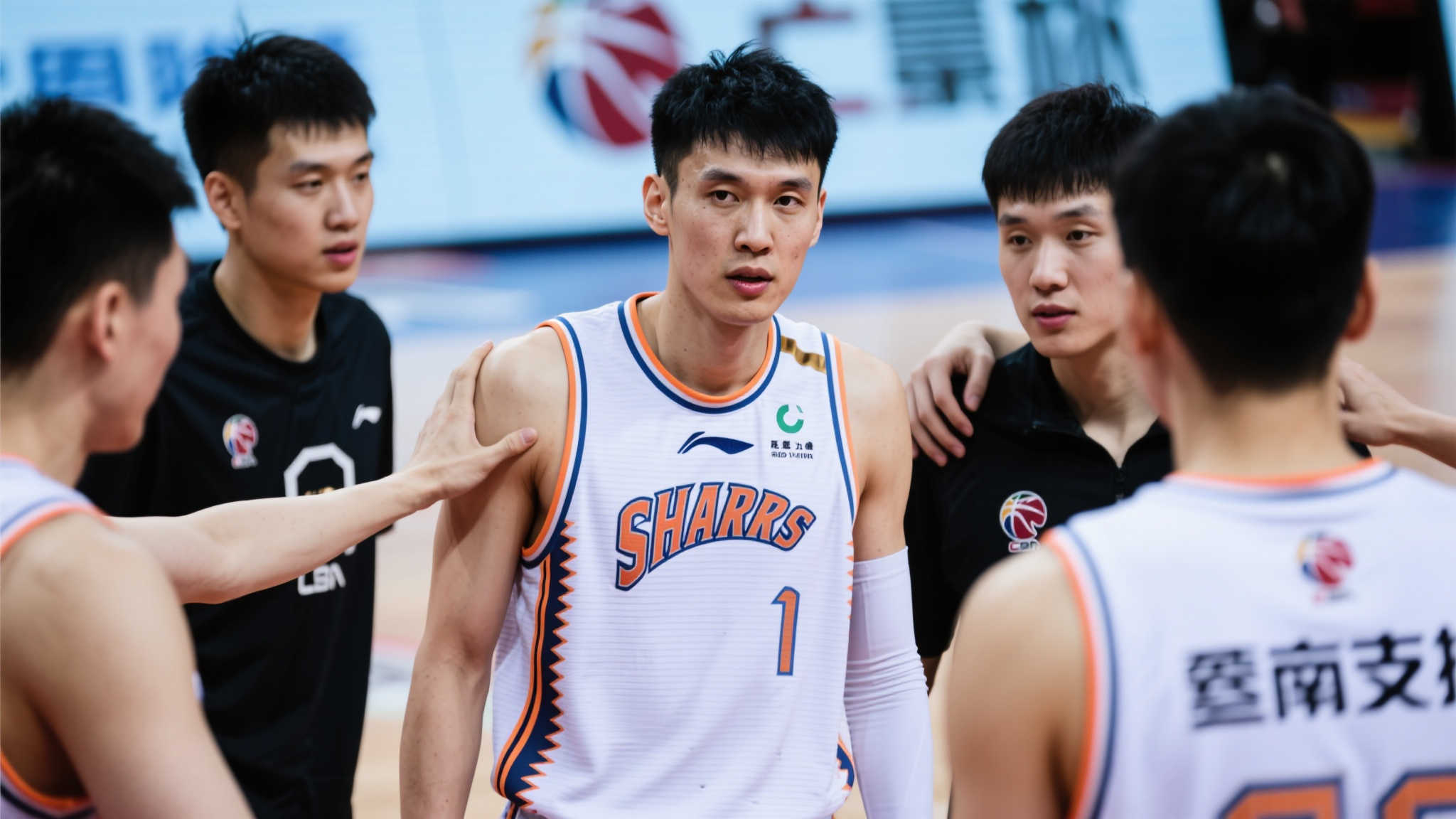 是众多豪门 是众多豪门